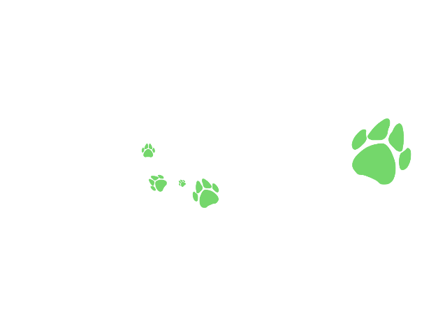 EducaPearle